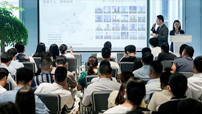 软件专利申请，流程揭秘与费用解析